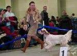ВЫСТАВКИ - Евразия 2010